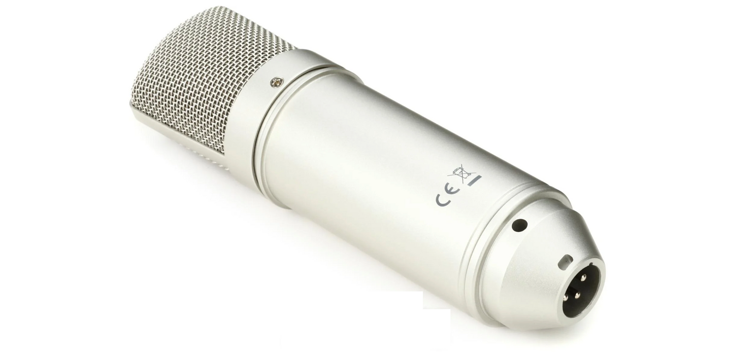 Micrófono de condensador TASCAM TM-80