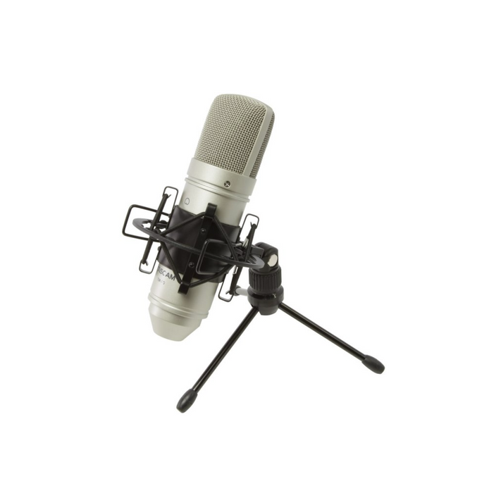 Micrófono de condensador TASCAM TM-80